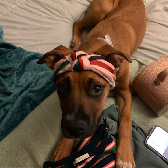 Meet your Posher, Elizabeth - Picture 2 of 2